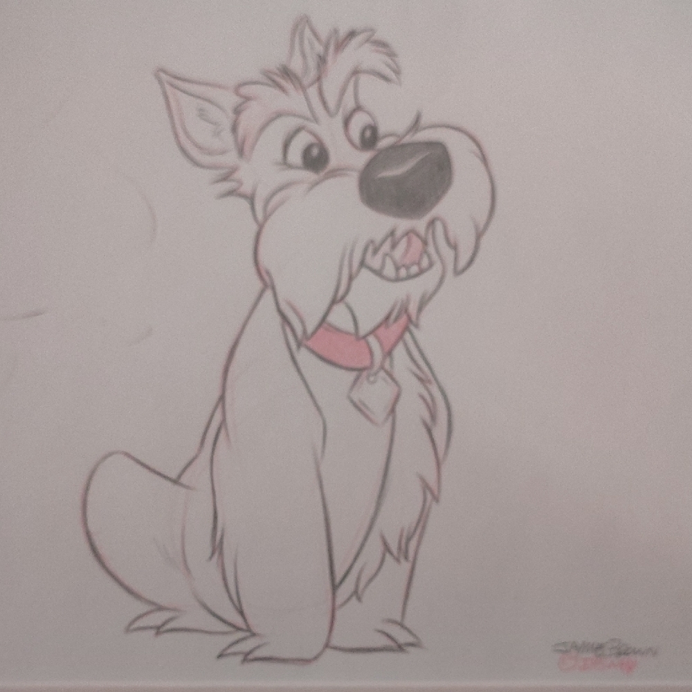 original drawing JOCK FROM LADY AND THE TRAMP BY Jaime Brown and autographed